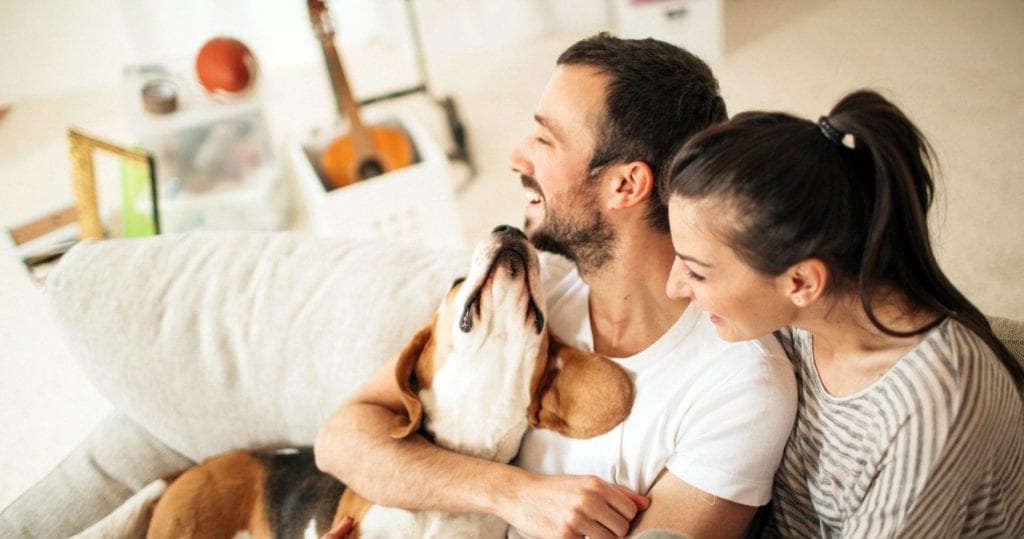 couple amusé avec leur chien dans leur nouvelle maison